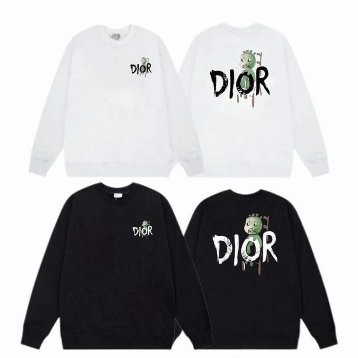 Picture of Dior Sweatshirt _SKUDiorXS-LsxitxD201931947